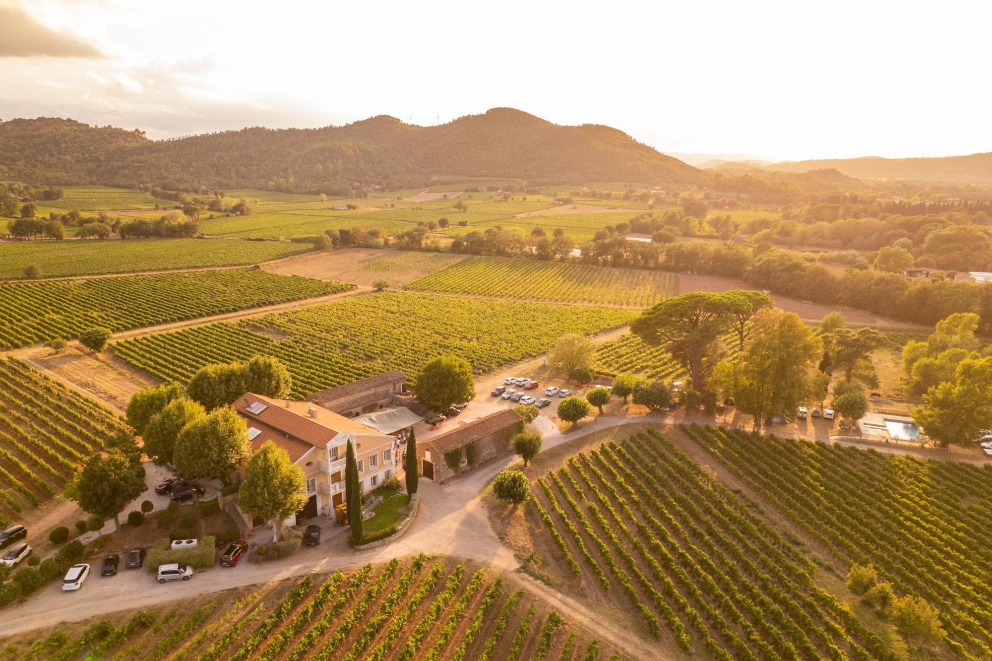 Gite Vert D'Olive Au Milieu Des Vignes - Chateau Les Apies Les Arcs-sur-Argens Exterior photo