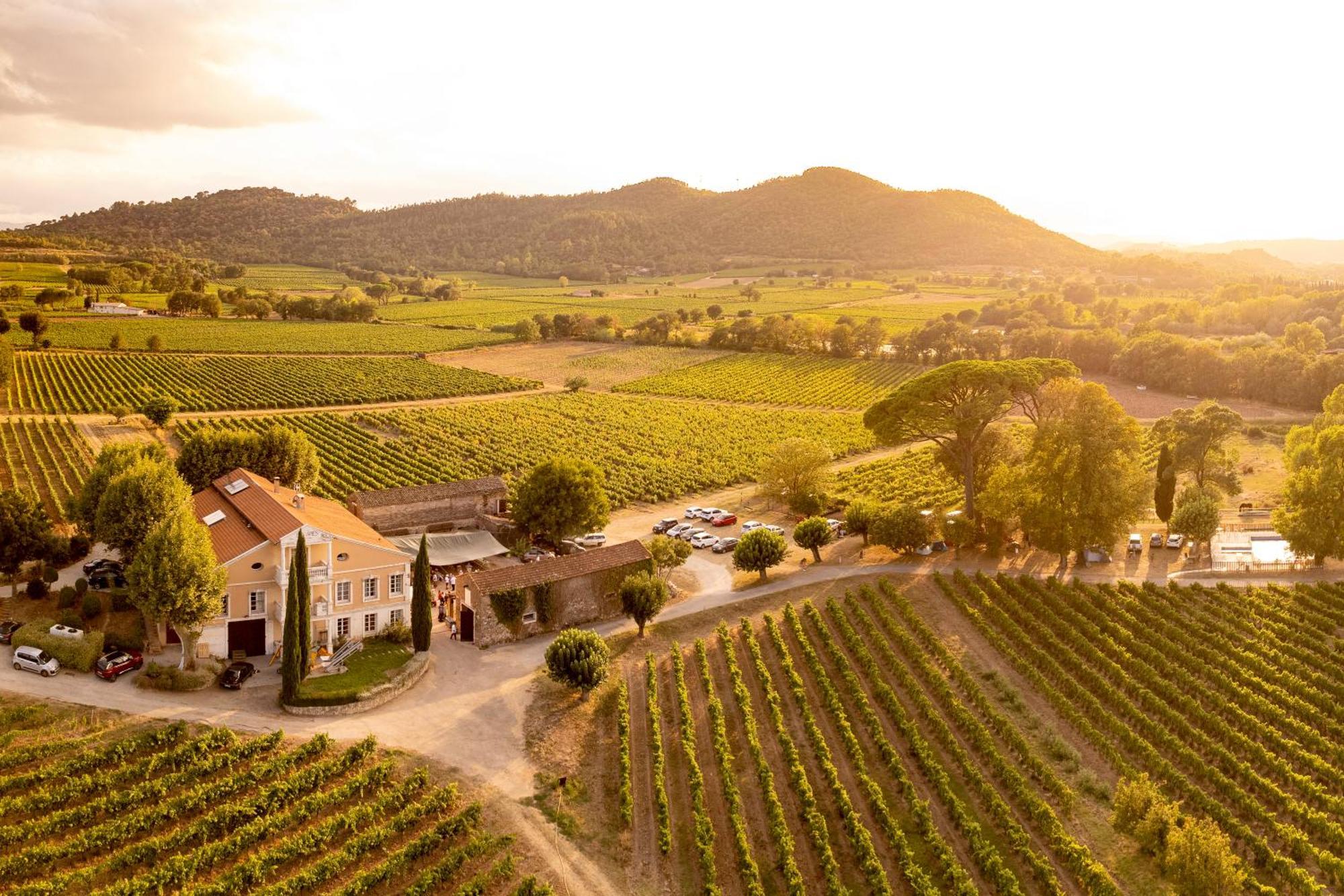 Gite Vert D'Olive Au Milieu Des Vignes - Chateau Les Apies Les Arcs-sur-Argens Exterior photo